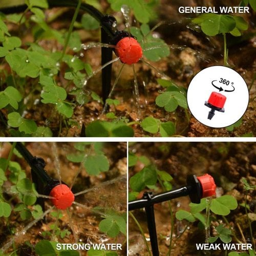 🔥Fog-cooled semi-automatic irrigation system